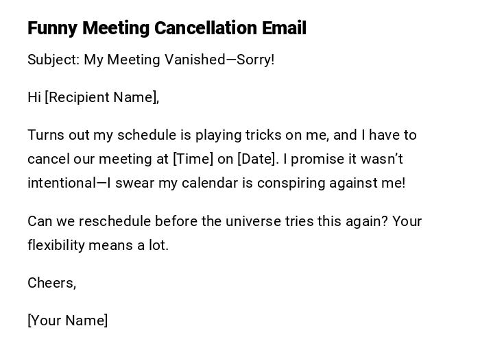 Funny Meeting Cancellation Email