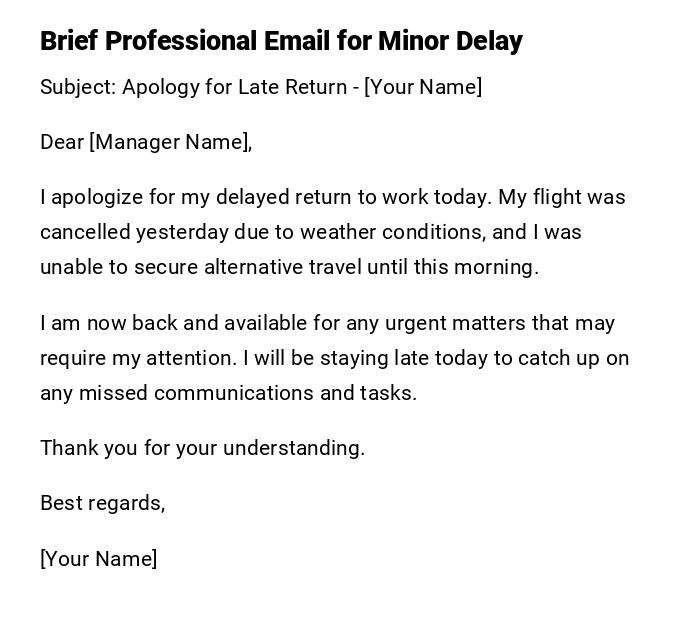 Brief Professional Email for Minor Delay Brief Professional Email for Minor Delay